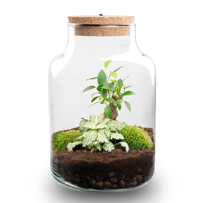 Flaschengarten - DIY Bausatz - Terrarium - Little Milky + LED ↑ 25 cm
