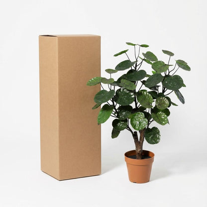 Polyscias Fabian Kunstpflanze 55cm – Dekorative Aralie Deko Pflanze – Pflegefreie Zimmerpflanze für Wohnzimmer Büro & Regal