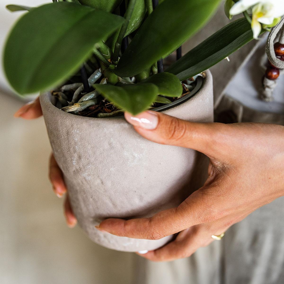 Rustic Zierpflanztopf Sand – Ø9cm – Kleiner Blumentopf in natürlichem Sandton – Organische Form im Slow Living Stil – Für Innenräume & dezente Wohnakzente 