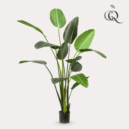 Kunstpflanze - Strelitzia Nicolai - Paradiesvogelblume - Zimmerpflanze - 230cm