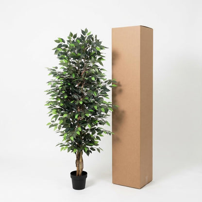 Ficus Benjamina Kunstpflanze 180cm – Große Birkenfeige Deko Pflanze – Pflegefreie Zimmerpflanze für Wohnzimmer Büro & Empfangsbereich