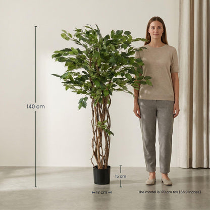 Ficus Liana Kunstbaum – 140cm – Hochwertige künstliche Pflanze mit realistischer Blattstruktur – Pflegefreier Deko Baum für Wohnzimmer Büro & Empfangsbereich