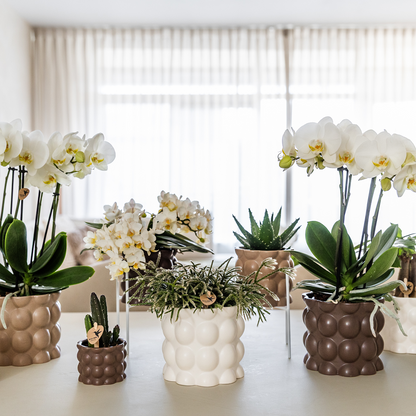Kolibri Home | Cotton sierpot - White - Ø9cm 