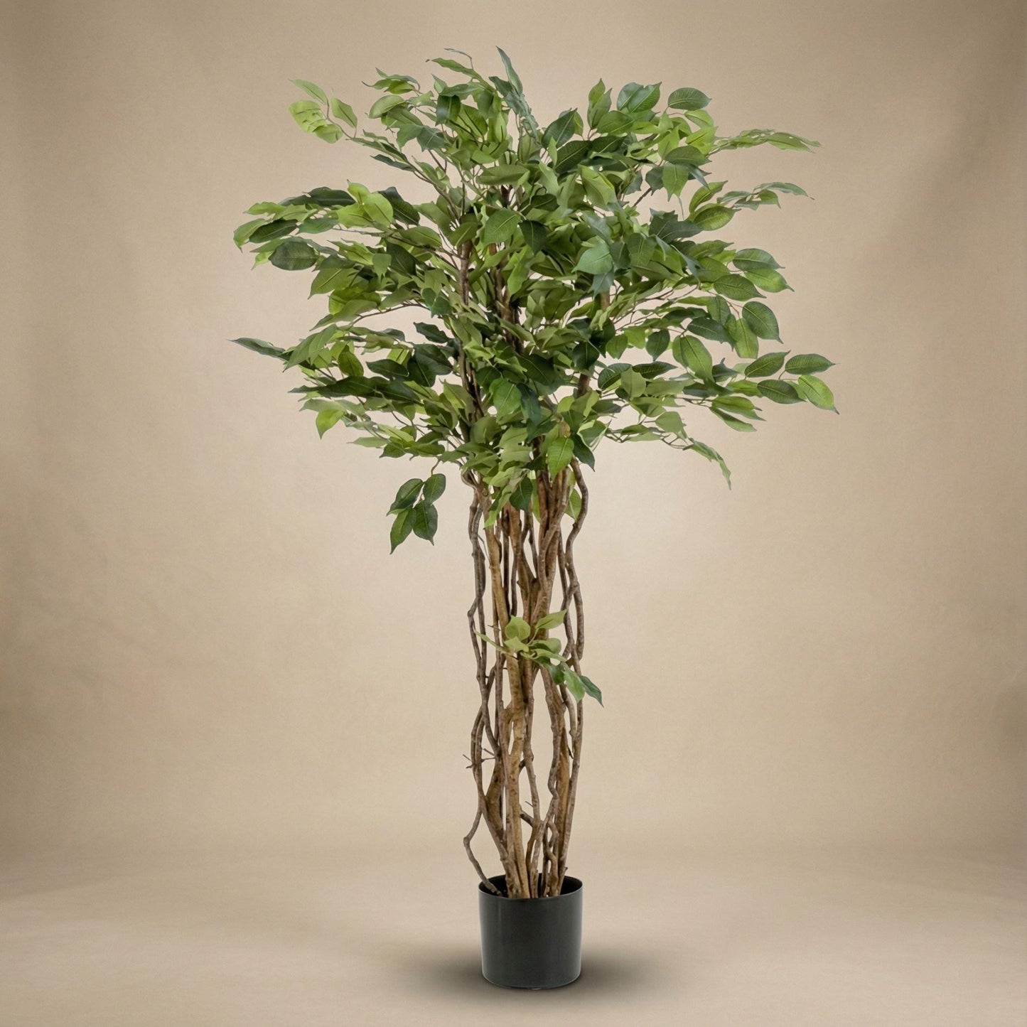 Ficus Liana Kunstbaum – 140cm – Hochwertige künstliche Pflanze mit realistischer Blattstruktur – Pflegefreier Deko Baum für Wohnzimmer Büro & Empfangsbereich
