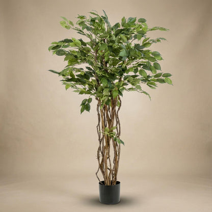 Ficus Liana Kunstbaum – 140cm – Hochwertige künstliche Pflanze mit realistischer Blattstruktur – Pflegefreier Deko Baum für Wohnzimmer Büro & Empfangsbereich