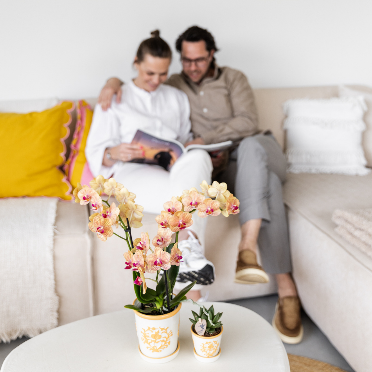 Orchidee Lima Gelb im Malaga Ziertopf Hellorange – Ø9cm – 2-3 kräftigen Stiele – Fröhliche Zimmerpflanze – Sommerliches Wohnhighlight 