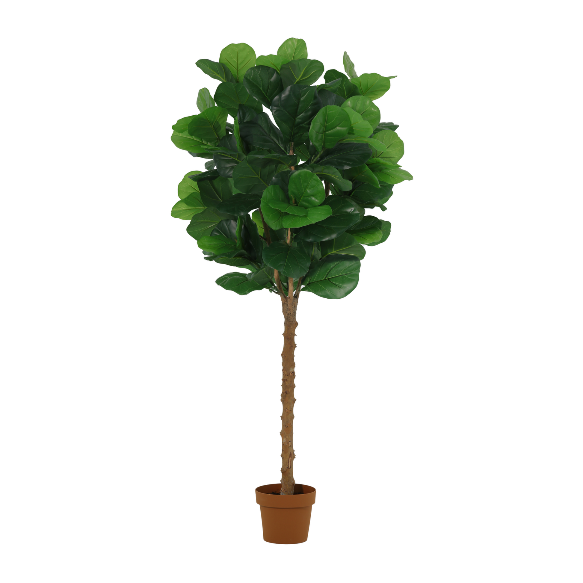 ARTIFICIAL Ficus lyrata tree - 160cm 