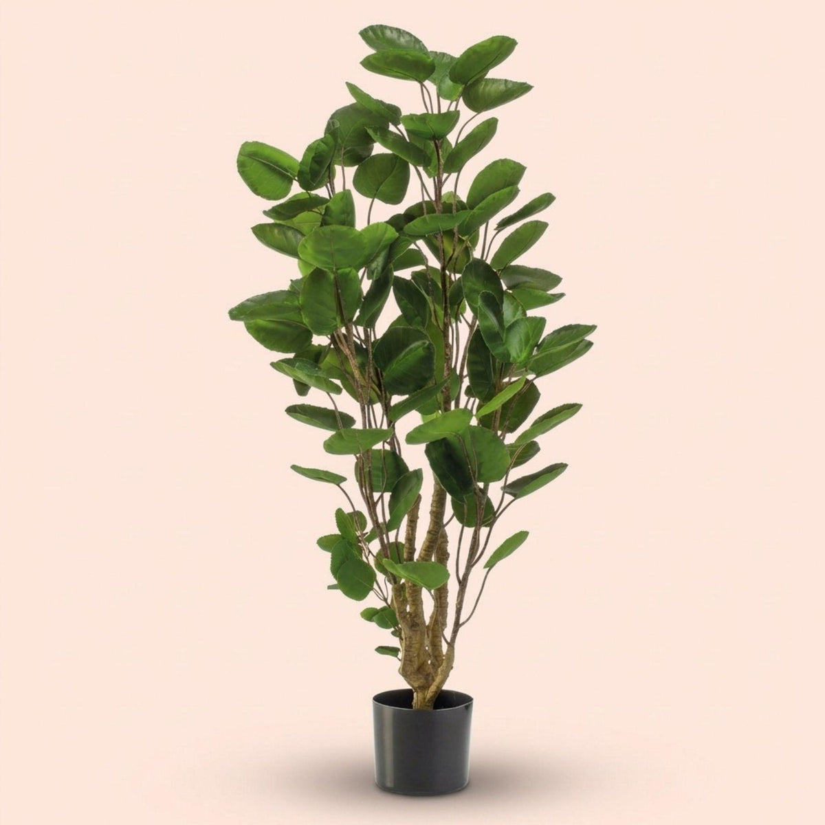 Polysciasbaum - 105 cm - Kunstpflanze 