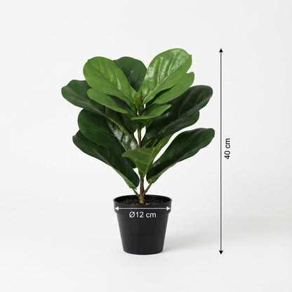 Ficus lyrata Kunstpflanze 40cm – Kompakte Geigenfeige Deko Pflanze – Pflegefreie Zimmerpflanze für Fensterbank Büro & Regal