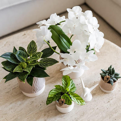 Kolibri Home | Bamboo Übertopf - Sand - Ø6cm 