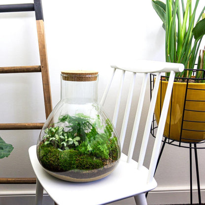 Flaschengarten - DIY Bausatz - Terrarium - Sam XL - ↕35cm