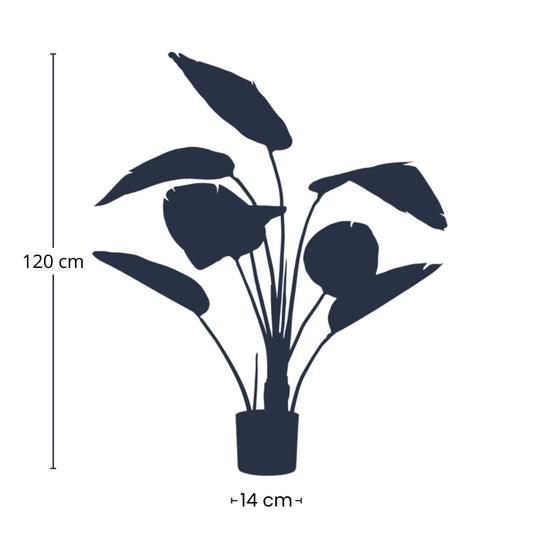 Strelitzia Kunstpflanze – 120 cm – schwarzer Topf – Tropischer Zimmerpflanzen-Look ohne Pflege – Große Deko-Pflanze für Wohnzimmer, Büro & Flur