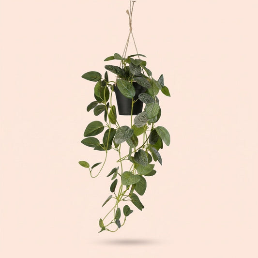 Fittonia - hangplant in pot - 70 cm - Kunstplant 