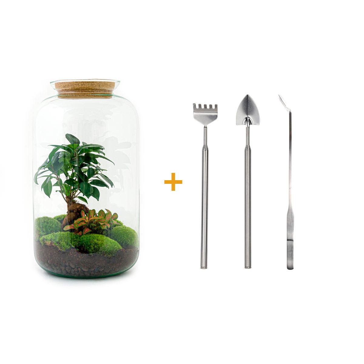 Flaschengarten - Sven Bonsai - ↕ 43 cm - Rake + Shovel + Tweezer 