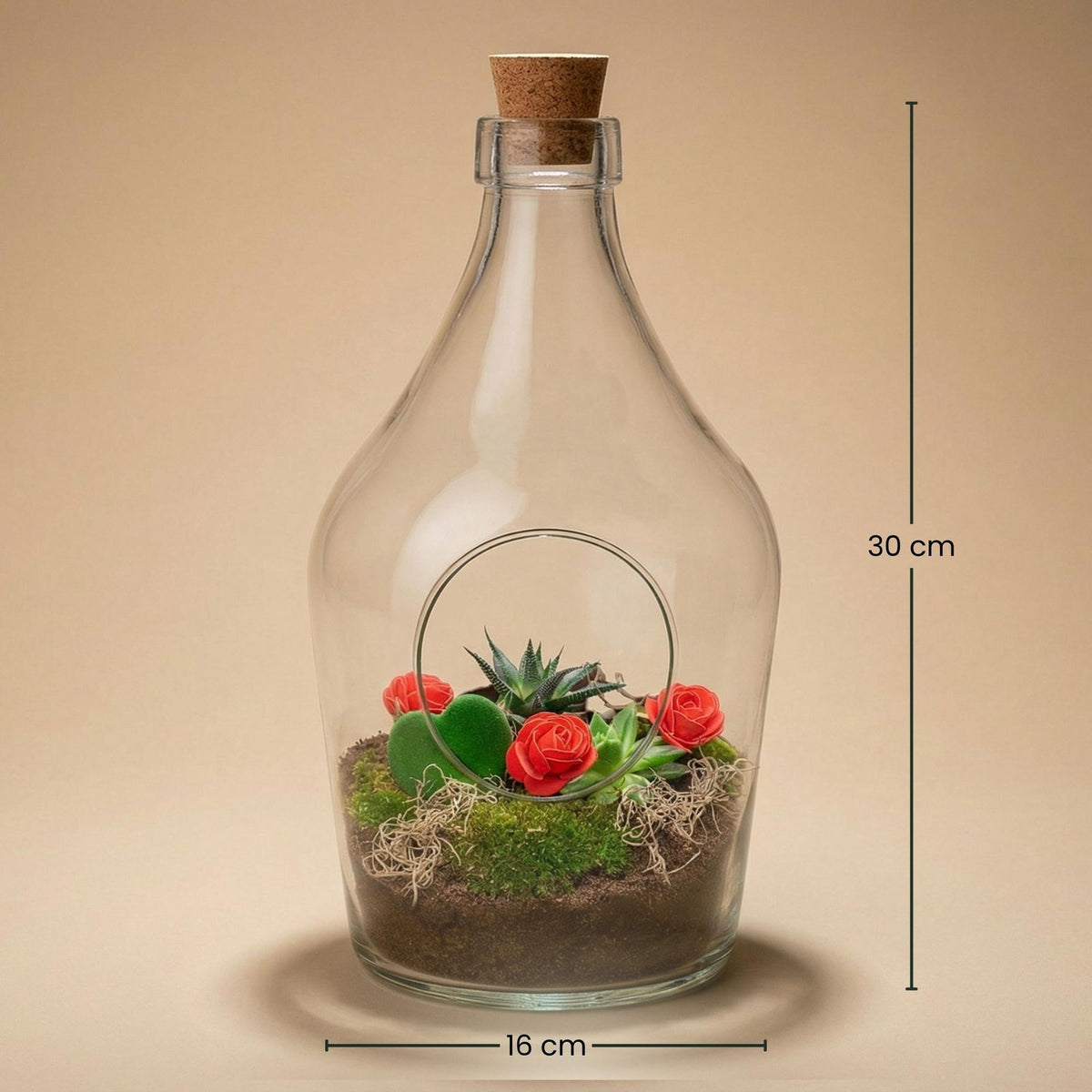 Love in a Bottle - DIY Open Planten terrarium - Ø 16 cm ↑ 30 cm 