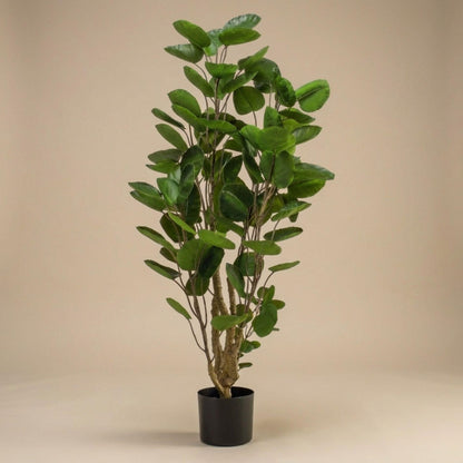 Polysciasbaum - 105 cm - Kunstpflanze 