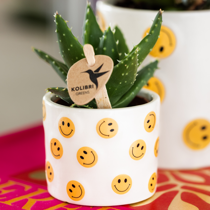 Kolibri Home | Smiley Übertopf - Ø6cm 