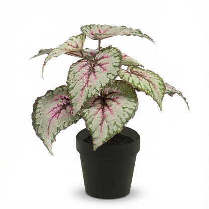 Begonie Kunstpflanze – ca.26cm – UV-beständig – Künstliche Blühpflanze im Topf – Pflegefreie Deko für Innen & Außen Balkon Terrasse & Fensterbank