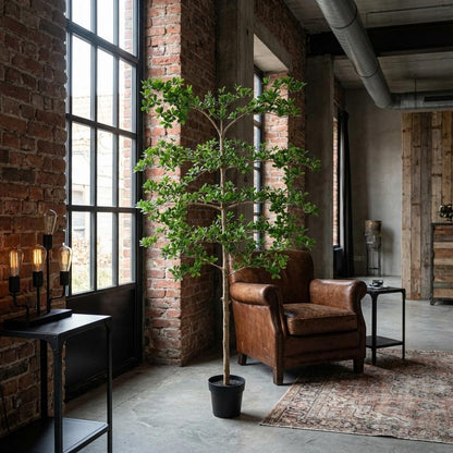 Bucida Kunstpflanze 200cm – Große Designer Deko Baum Pflanze – Pflegefreie Zimmerpflanze für Wohnzimmer Büro & Empfangsbereich