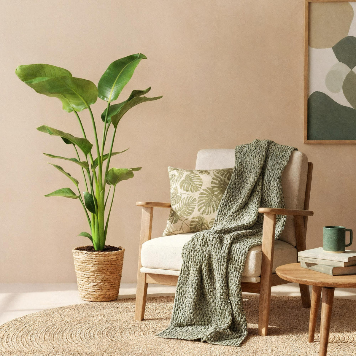 Green boutiQ - Zimmerpflanzen - Stelitzia Nicolai - Paradiesvogelblume - Wenig Pflege - Grün - 1 Pflanze - Topf 21cm - Höhe 110-120cm 