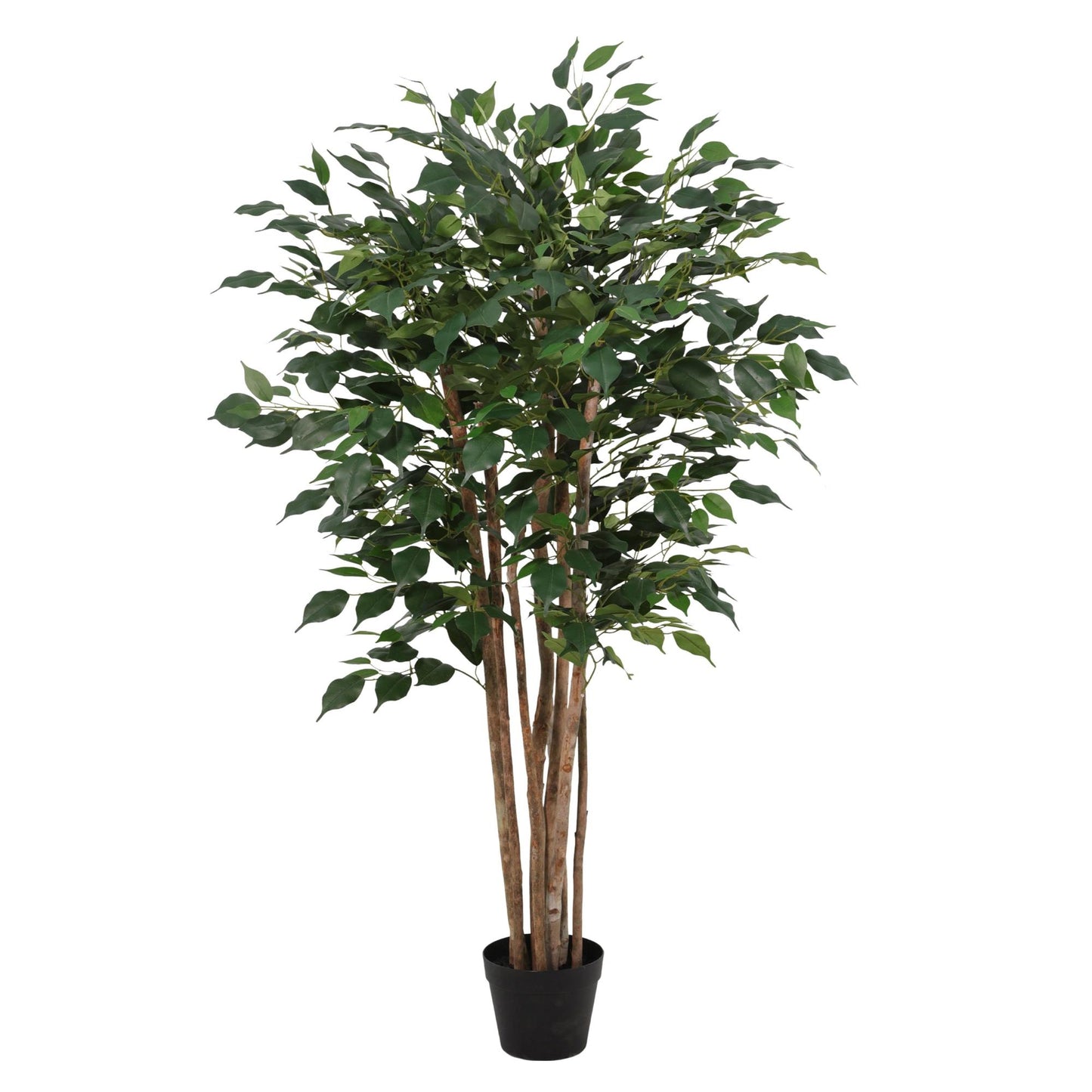 ARTIFICIAL Ficus Benjamina - 150cm 
