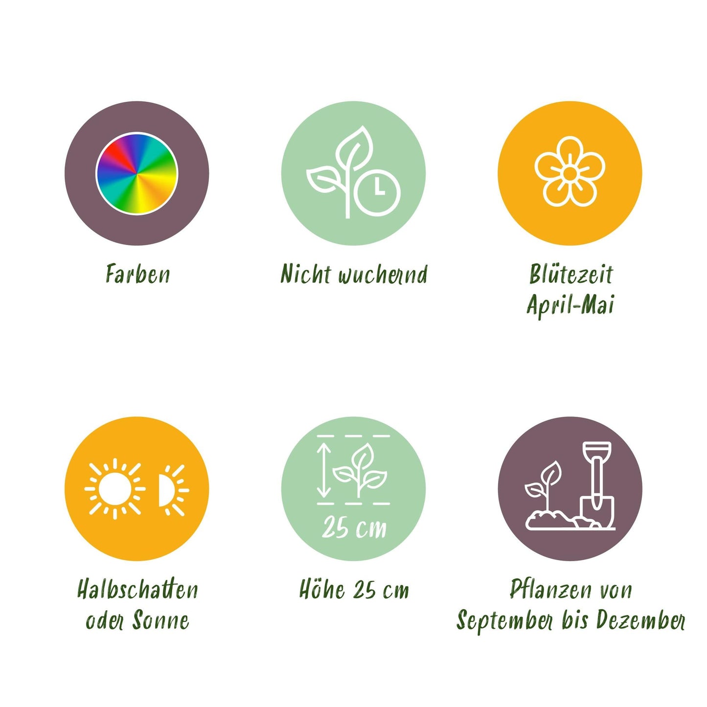 GreenboutiQ - Blumenzwiebeln - Hyazinthenmix - Verschiedene Farben - 10 Stück - Zwiebelgröße 14/15 - XXL Pack 