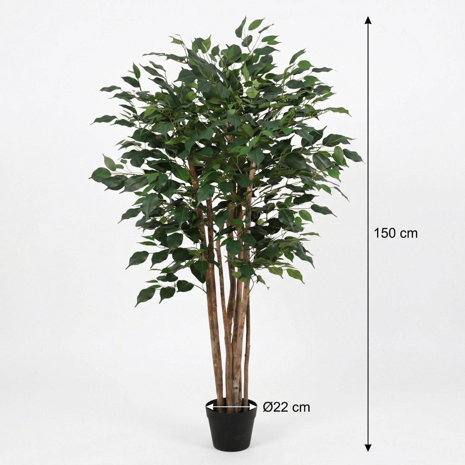 ARTIFICIAL Ficus Benjamina - 150cm 
