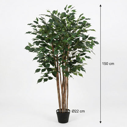 ARTIFICIAL Ficus Benjamina - 150cm 