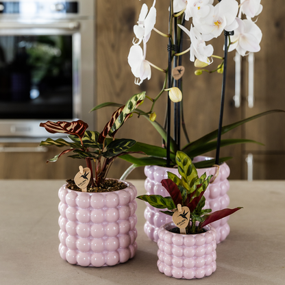 Kolibri Home | Poppy Ziertopf - Pink - Ø9cm 