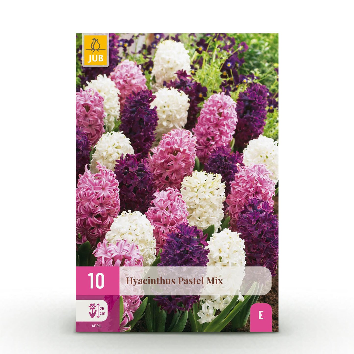 GreenboutiQ - Blumenzwiebeln - Hyacinth Pastel mix - Verschiedene Pastellfarben - 10 Stück - Zwiebelgröße 14/15 - XXL Pack 