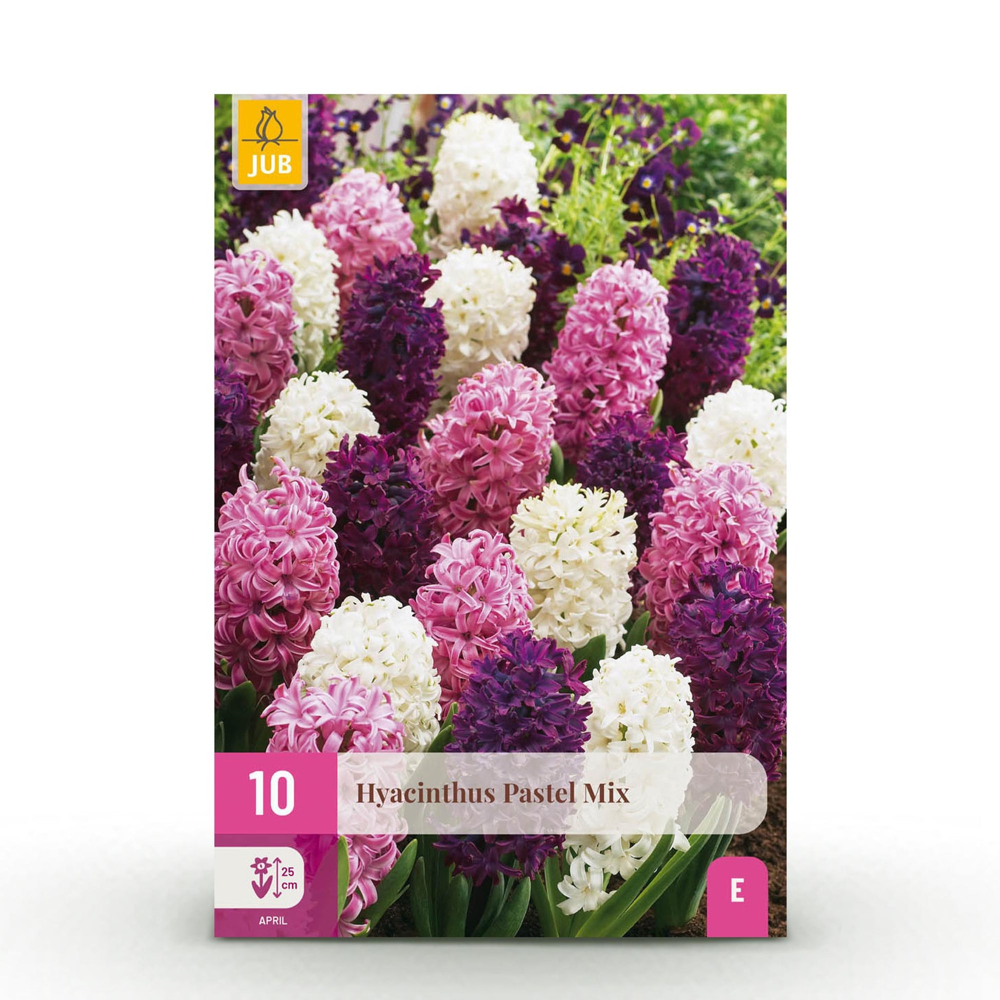 GreenboutiQ - Blumenzwiebeln - Hyacinth Pastel mix - Verschiedene Pastellfarben - 10 Stück - Zwiebelgröße 14/15 - XXL Pack 