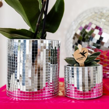 Kolibri Home | Disco sierpot - Ø6cm 