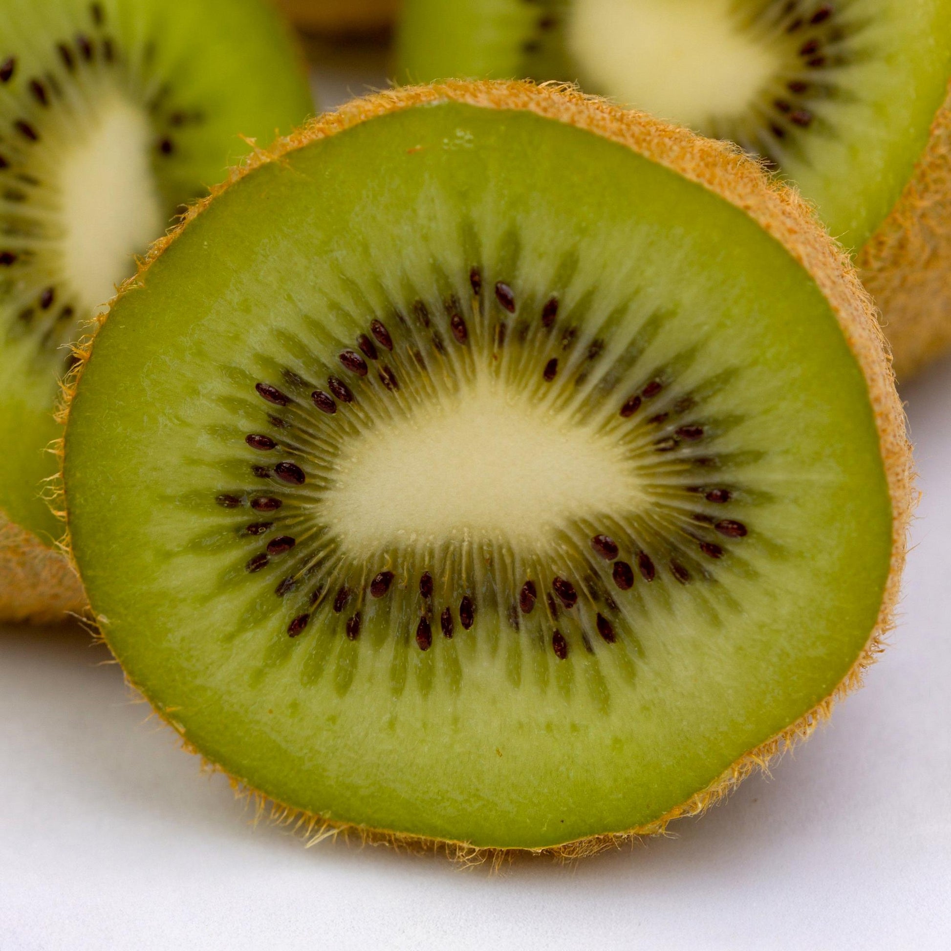 Kiwi Pflanze Actinidia deliciosa 'Jenny' – 2er-Set – Obstpflanze 15cm – ca. 50cm hoch – Selbstfruchtend – Für Garten & Balkon – Vitaminreiche grüne Kiwi 