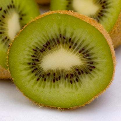 Kiwi Pflanze Actinidia deliciosa 'Jenny' – 2er-Set – Obstpflanze 15cm – ca. 50cm hoch – Selbstfruchtend – Für Garten & Balkon – Vitaminreiche grüne Kiwi 