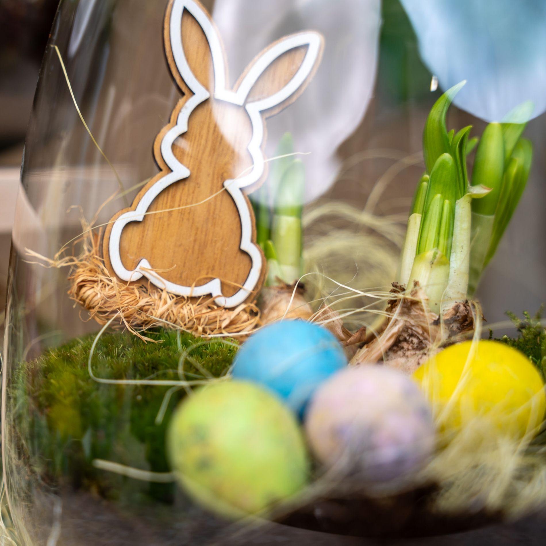 Emma Mini Oster - Offenes Terrarium - Flaschengarten DIY Kit - Ø 19 cm ↑ 20 cm 