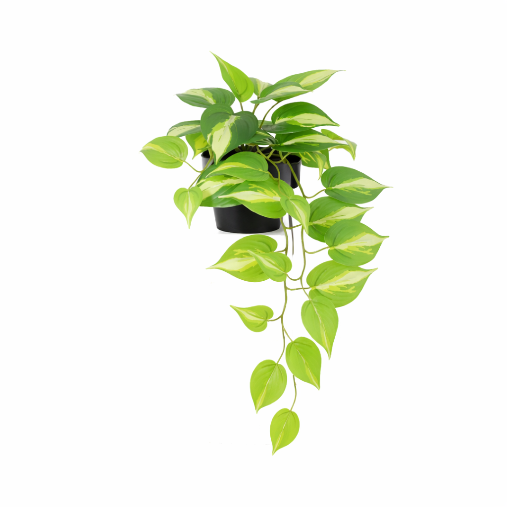 ARTIFICIAL Epipremnum Variegata - 37cm 
