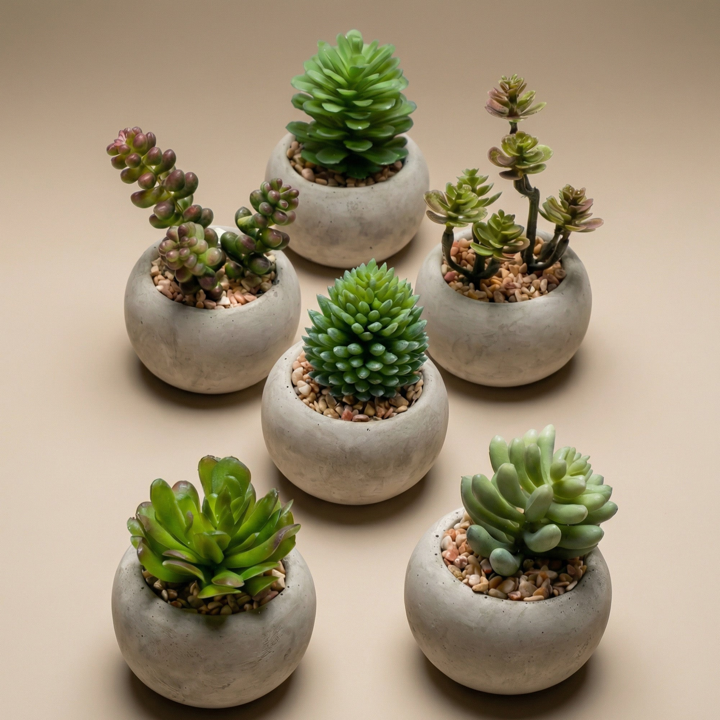 Kunst mini vetplanten in cementen pot - Succulent mix set 6 - Ø 6,5 