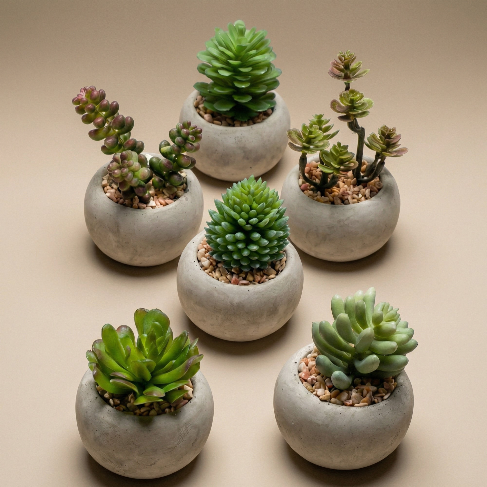 Kunst mini vetplanten in cementen pot - Succulent mix set 6 - Ø 6,5 