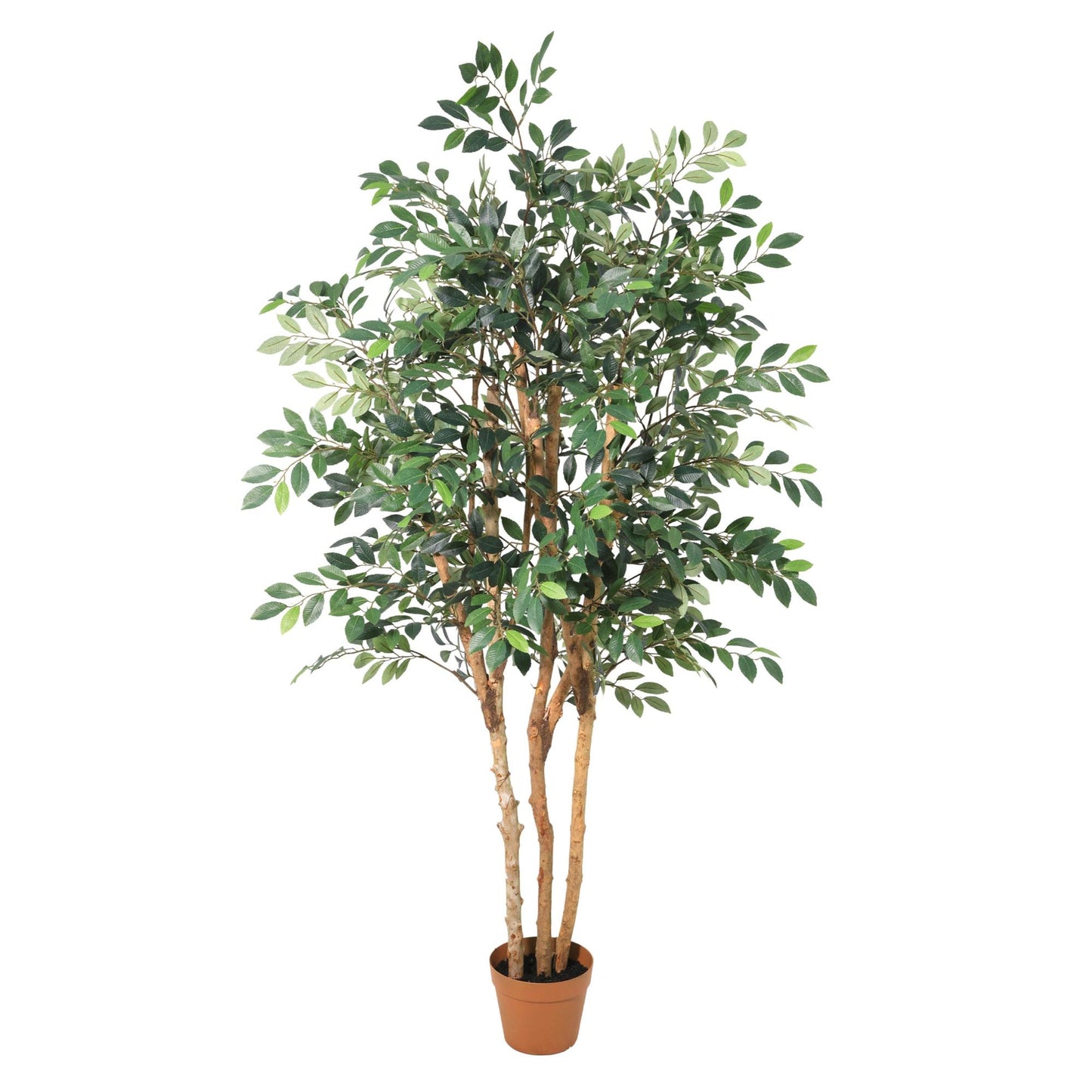 ARTIFICIAL Ficus Exotica - 150cm 