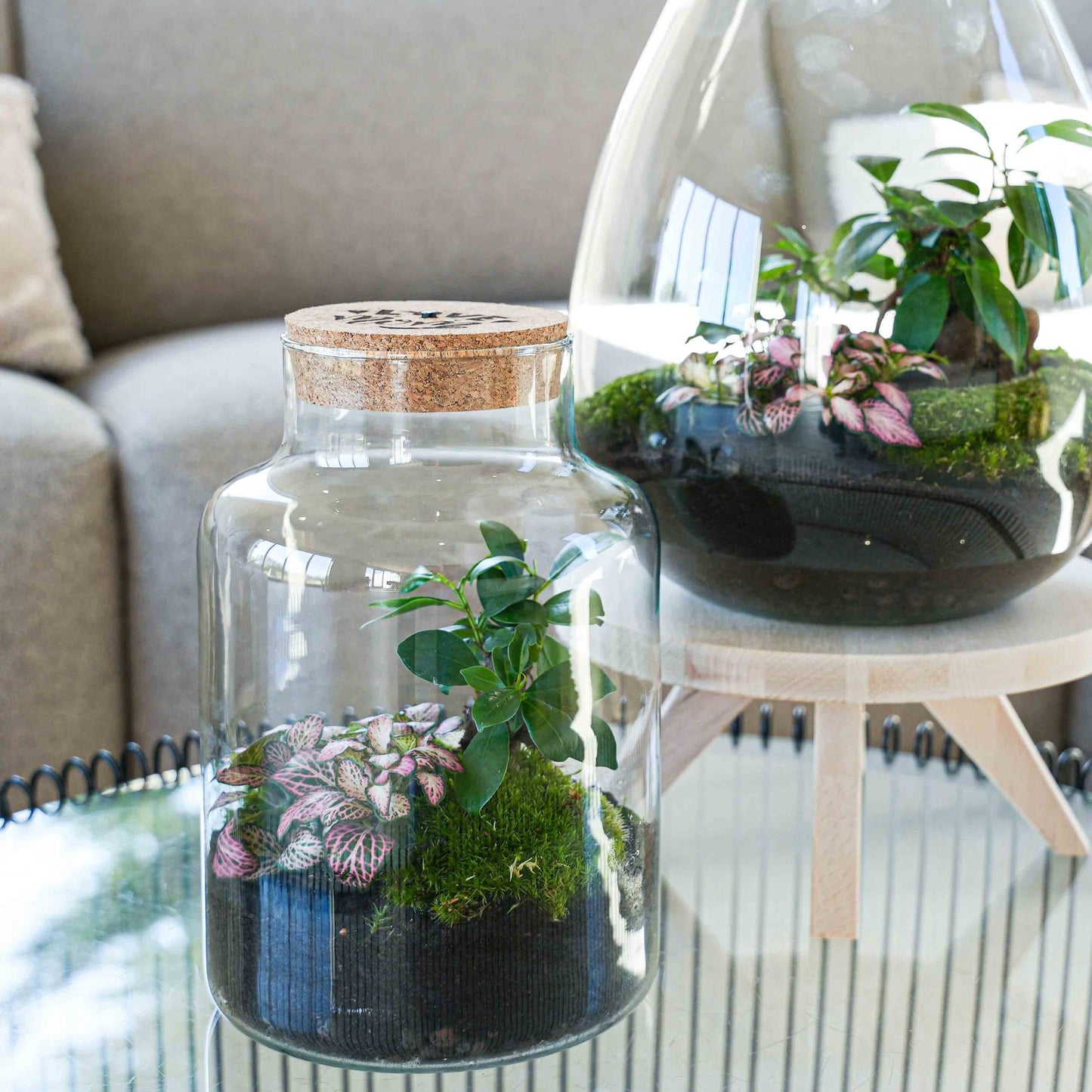 'LOVE MOM' Terrarium Little Milky + gravierter Kork mit Licht - Flaschengarten DIY Set - Ø 17 cm ↑ 25 cm - Muttertag 