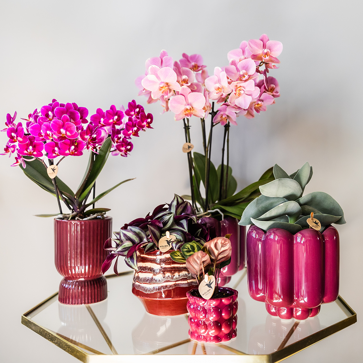 Kolibri Home | Diabolo-Ziertopf | Ø9cm - Burgundy 