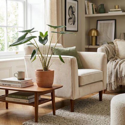 Pfeilblatt Alocasia Zebrina Ø21cm Höhe 70–75cm – Elefantenohr mit gestreiften Stielen – Exotische Zimmerpflanze für Wohnraum & Büro 