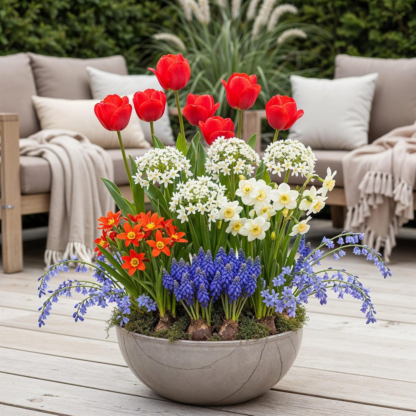 GreenboutiQ - Blumenzwiebeln - Bulbs From Holland - Verschiedene Farben - 125 Stück - Geschenkverpackung 