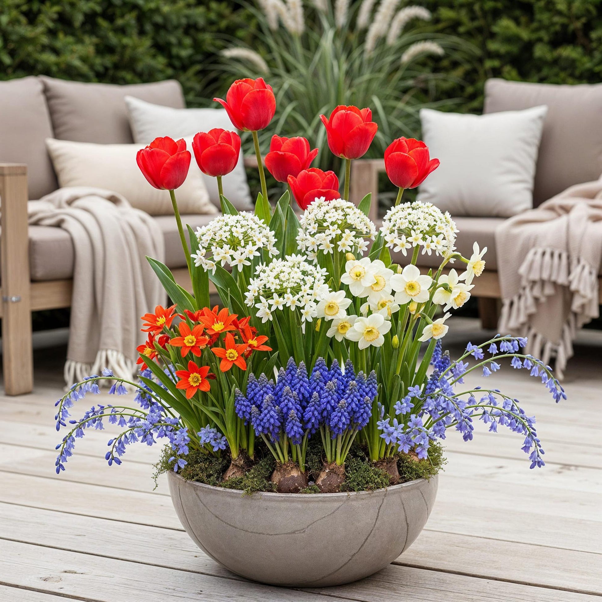 GreenboutiQ - Blumenzwiebeln - Bulbs From Holland - Verschiedene Farben - 125 Stück - Geschenkverpackung 