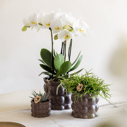 Kolibri Home | Cotton sierpot - Brown - Ø6cm 