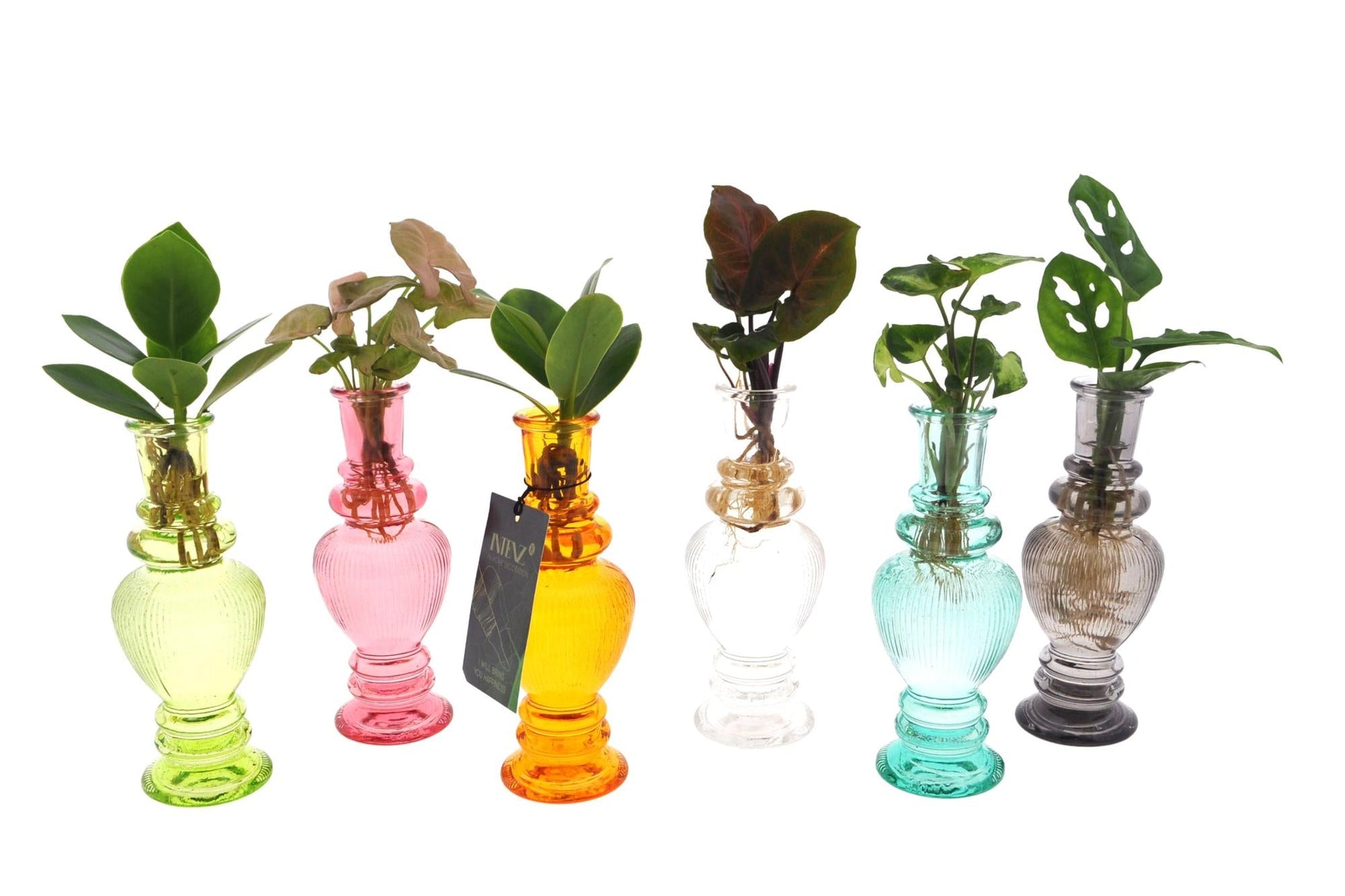 Mix In Venice Glas - Ø7cm - ↕20cm 