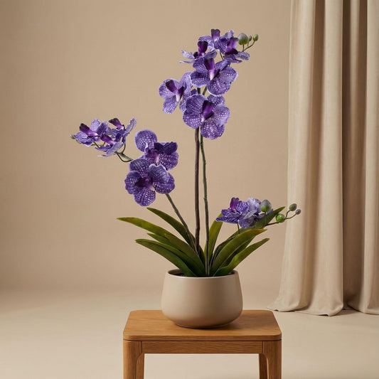 Orchidee Vanda Kunstpflanze – ca.60cm – Violett – Künstliche Orchidee im Topf – Pflegefreie Dekopflanze für Wohnzimmer Büro & Empfang