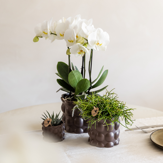 Kolibri Home | Cotton sierpot - Brown - Ø9cm 