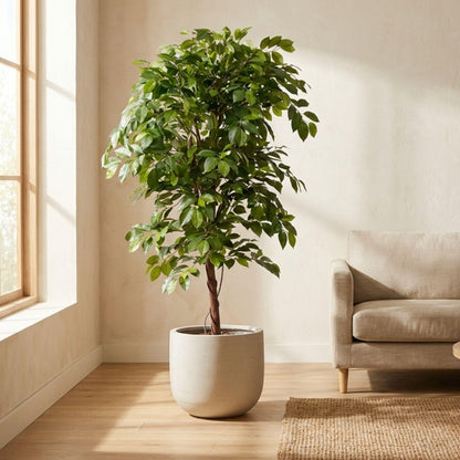 Ficus Deluxe Vine Kunstbaum – 140cm – Realistische Kunstpflanze für Innenräume – Pflegefreier künstlicher Baum mit dichtem Blattwerk – Ideal für Wohnzimmer & Büro