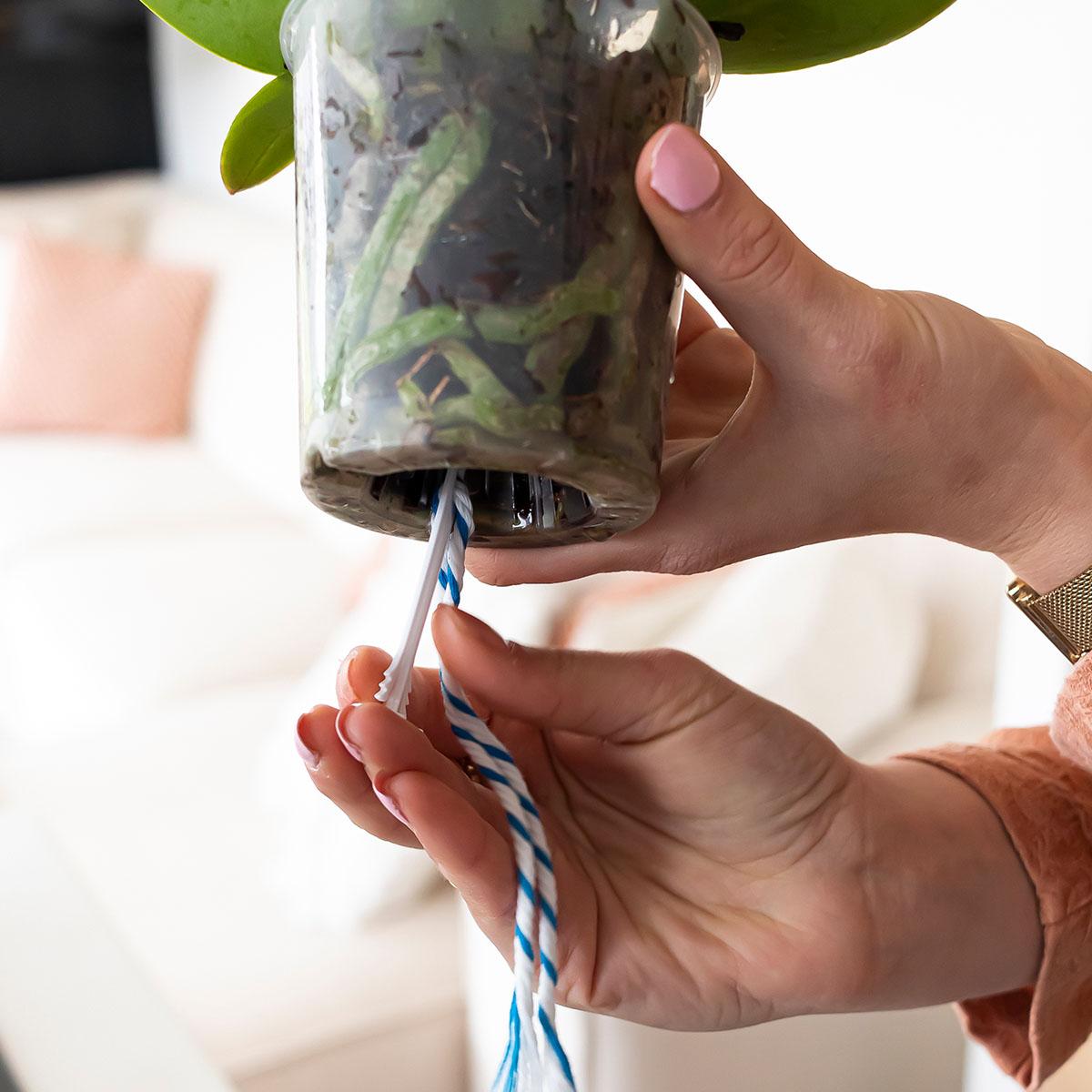 Kolibri Home | WaterWick Bewässerungsdocht (3 Stück) 